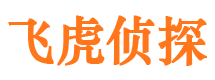 上蔡市场调查